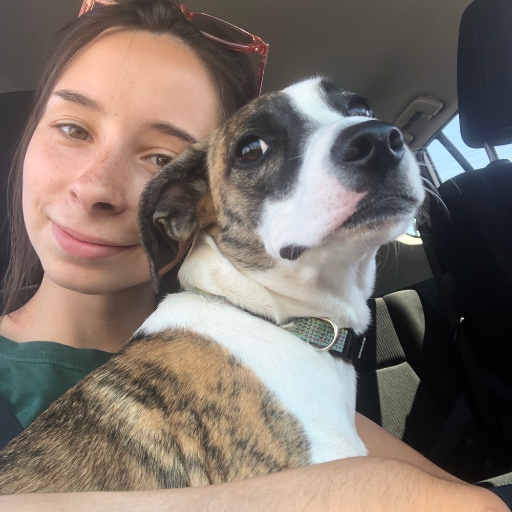 Meet your Posher, Ava